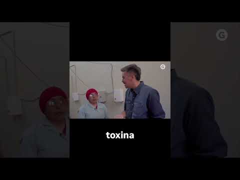 Todo sobre la quinoa en📍Cusi Cusi #Jujuy #ruta40