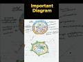 Class 9th Biology Ch 1 Important Diagram Shorts Ytshorts Trending Biology