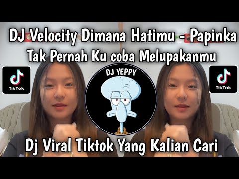 DJ DI MANA HATIMU - PAPINKA || TAK PERNAH KU COBA MELUPAKANMU VIRAL TIKTOK YANG KALIAN CARI