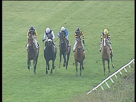 Galoppo 20/02/2018 - 1ª corsa