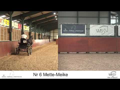 Eindbeoordeling ABFP-test 4 | dinsdag 20 augustus 2024