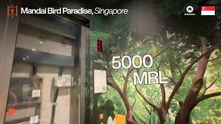 Schindler 5000 MRL Traction Elevator | Mandai Bird Paradise, Singapore [Central Plaza]