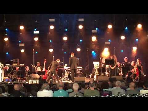Matthew Herbert's Brexit Big Band, Jazz Middelheim, Antwerp, 08/ 2017.