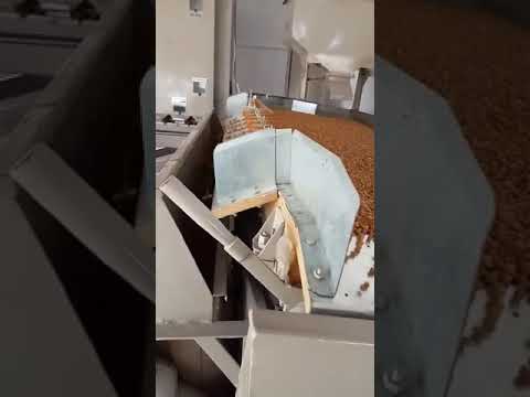Food Grading Machine