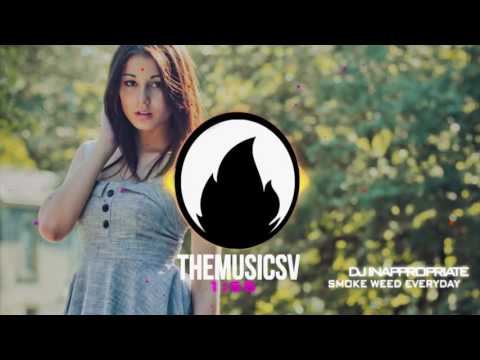 DJ Inappropriate Smoke Weed Everyday