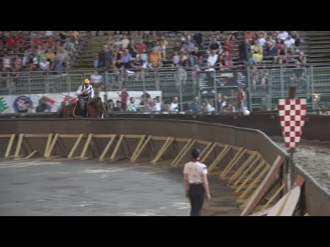 Bear Joust: The Golden Lion and Griffin Trials