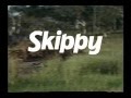 Skippy Générique En Français