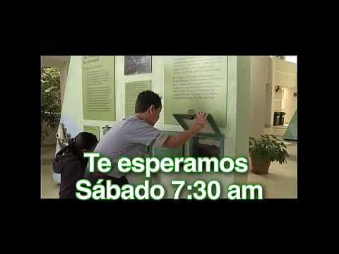 Sistema TV - El Yunque's 20th Anniversary - Promo (2010)