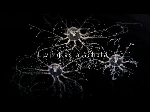 Living as a scholar (K.T.)