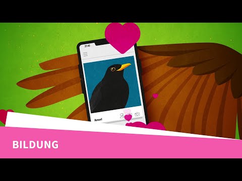 Der biologische Sinn des Lebens - Sexuelle Selektion