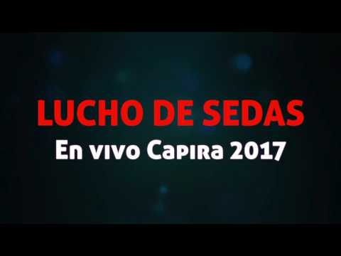 Amores De Ocasion - LUCHO DE SEDAS (En vivo / Capira 2017)