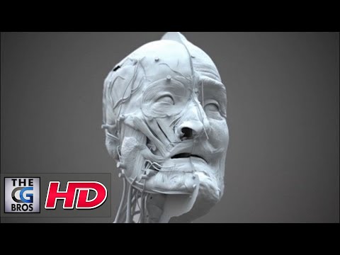 CGI 3D "King Henri IV Forensic Facial Reconstruction" - by Philippe Froesch