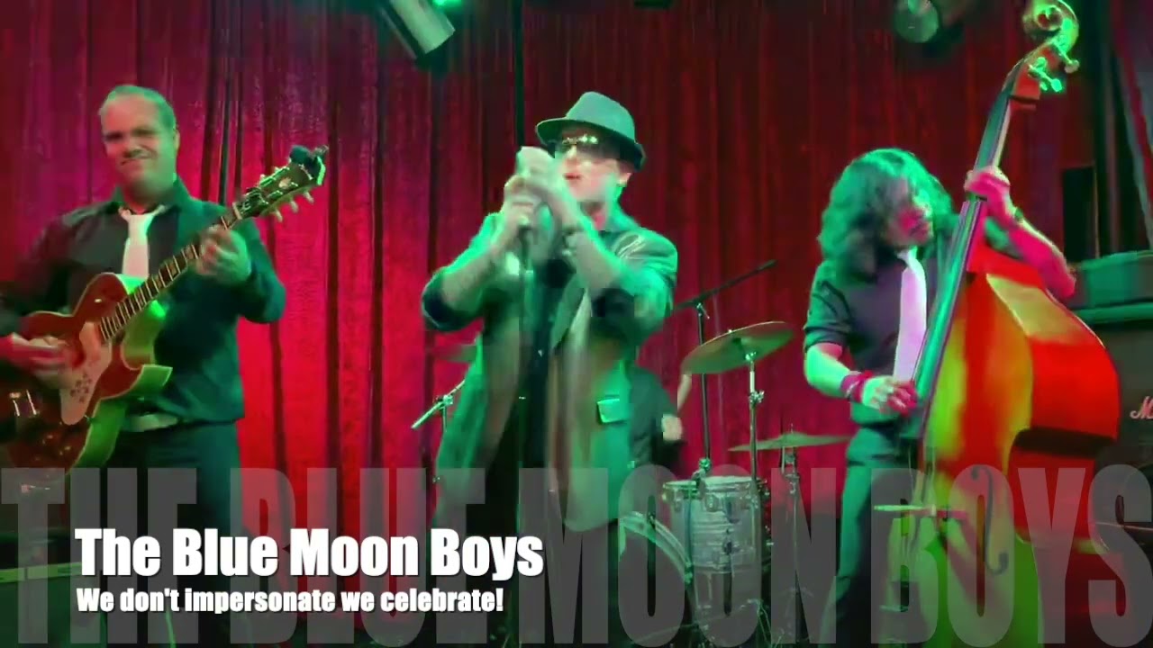 Promotional video thumbnail 1 for The Blue Moon Boys