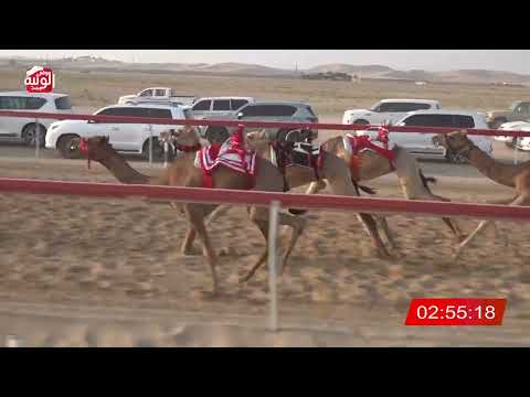  ش 13 (العزره) لـ لاحج عبيد سالم بالهلي 6:5 , شارة الديوان 3 2026/10/05 سويحان لقايا 