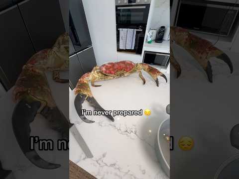 Cooking World&rsquo;s Largest Crab!