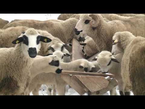 U posjeti Donjoj Pešteri i gazdinstvu Šefćeta Selimovića iz sela Potreb