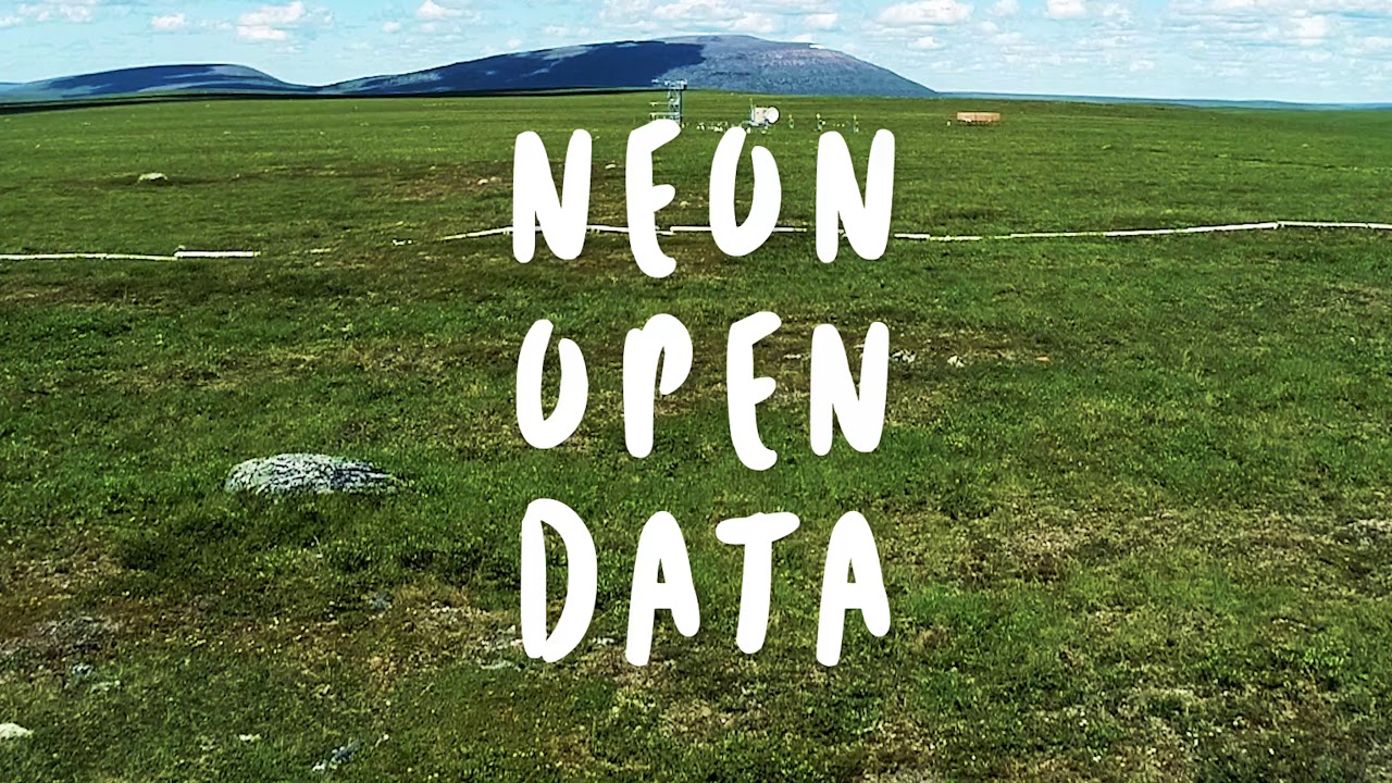 Beetle Abundance NEON Forecast Challenge