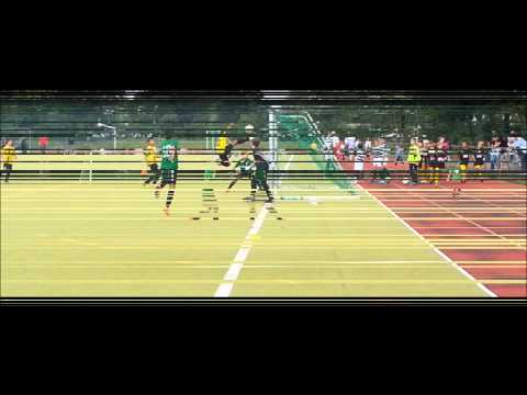 Füchse Berlin - Berliner SC 4:0