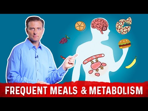 How to Overcome Adrenal Stress with Intermittent Fasting – Dr Berg