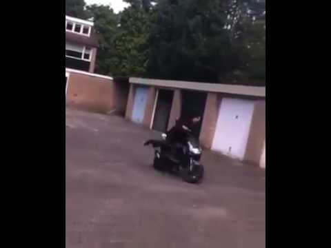 Wiellie in poelenburg Zaandam