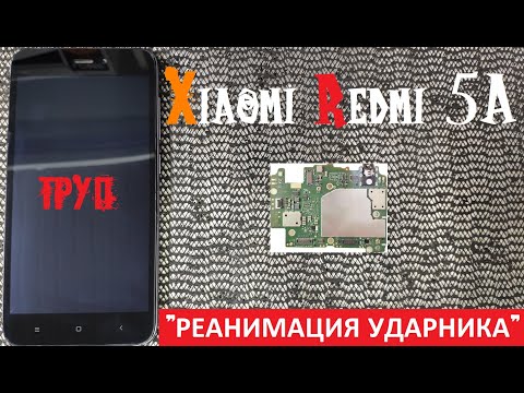 Xiaomi Redmi 5A не включается не заряжается