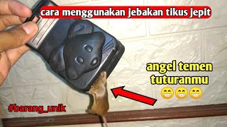 Download lagu cara menggunakan jebakan tikus jepit - jebakan tikus paling ampuh mp3
