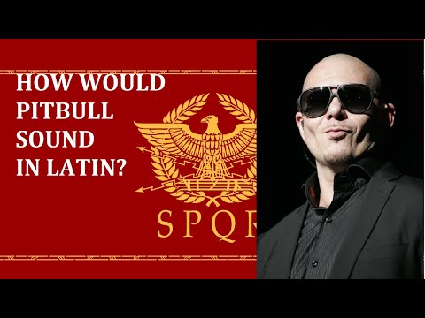 How would Pitbull sound in Latin? (episode 1)