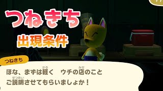 【あつ森】つねきちの出現条件と博物館増設のやり方を解説！【どうぶつの森】