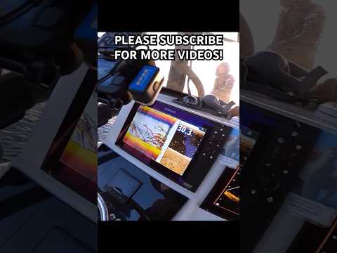 Simrad Active Target is awesome!! Simrad Evo3 S. Simrad NSS Simrad NSO. Live sonar