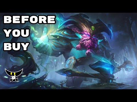 Before You Buy Elderwood Ornn