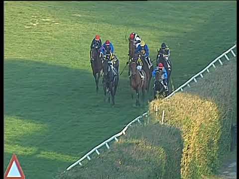 Galoppo 13/01/2018 - 2ª corsa