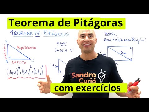 PYTHAGOREAN THEOREM | THEORY AND EXERCISES