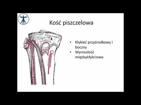 Pecz ćwiczenia hantle Zapalenie mięśni zapalenie mięśni
