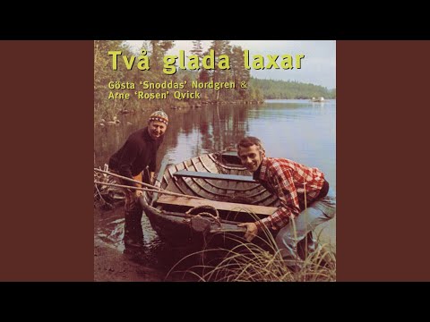 Två glada laxar