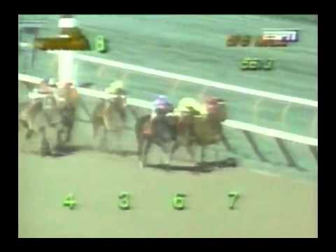 1994 A Phenomenon Handicap