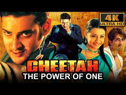 Cheetah: The Power Of One
