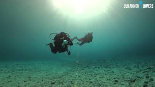 preview picture of video 'Bukannon Divers at Grüner See (Green Lake)'
