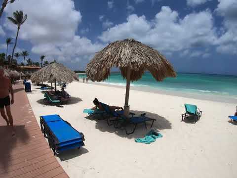 Videos del Divi Dutch Village Beach Resort 4★ en Palm Beach, ArubaVer MásVerPrecios20CerrarConsulta por Whatsapp 🇦🇷BookingTripadvisorExpediaAgodaTravelocityOrbitzPricelineTripSkyscannerDespegarKayakHotelesBestdayDestiniaTrivagoTurismocityLastminuteHotwireTuiWotif