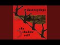 Shadow (I'm Breaking Down) by Destroy Boys