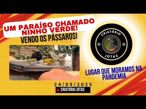 Porangaba interior de São Paulo, um paraíso onde a natureza permanece linda!