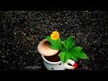 Roja Flute Bgm WhatsApp Status Bgmflute Rojabgm Kadhal Rojave Flute Whatsapp Status