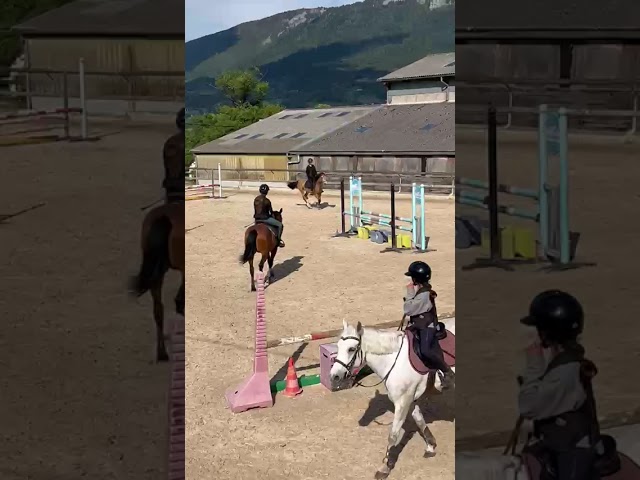 Poney C CSO/Hunter/Dressage