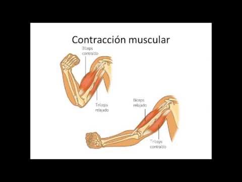 download lagu mp3 mp4 Que Es Rigor Mortis, download lagu Que Es Rigor Mortis gratis, unduh video klip Download Que Es Rigor Mortis Mp3 dan Mp4 Unlimited Gratis