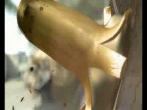 Crysis, Disturbed - Indestructible