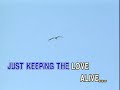 Keeping The Love Alive Video Karaoke Ivory
