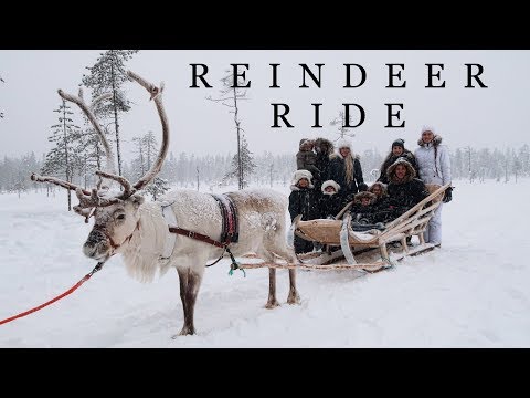 REINDEER RIDES / MOM OF 10 - JERUSALEM'S BIRTHDAY