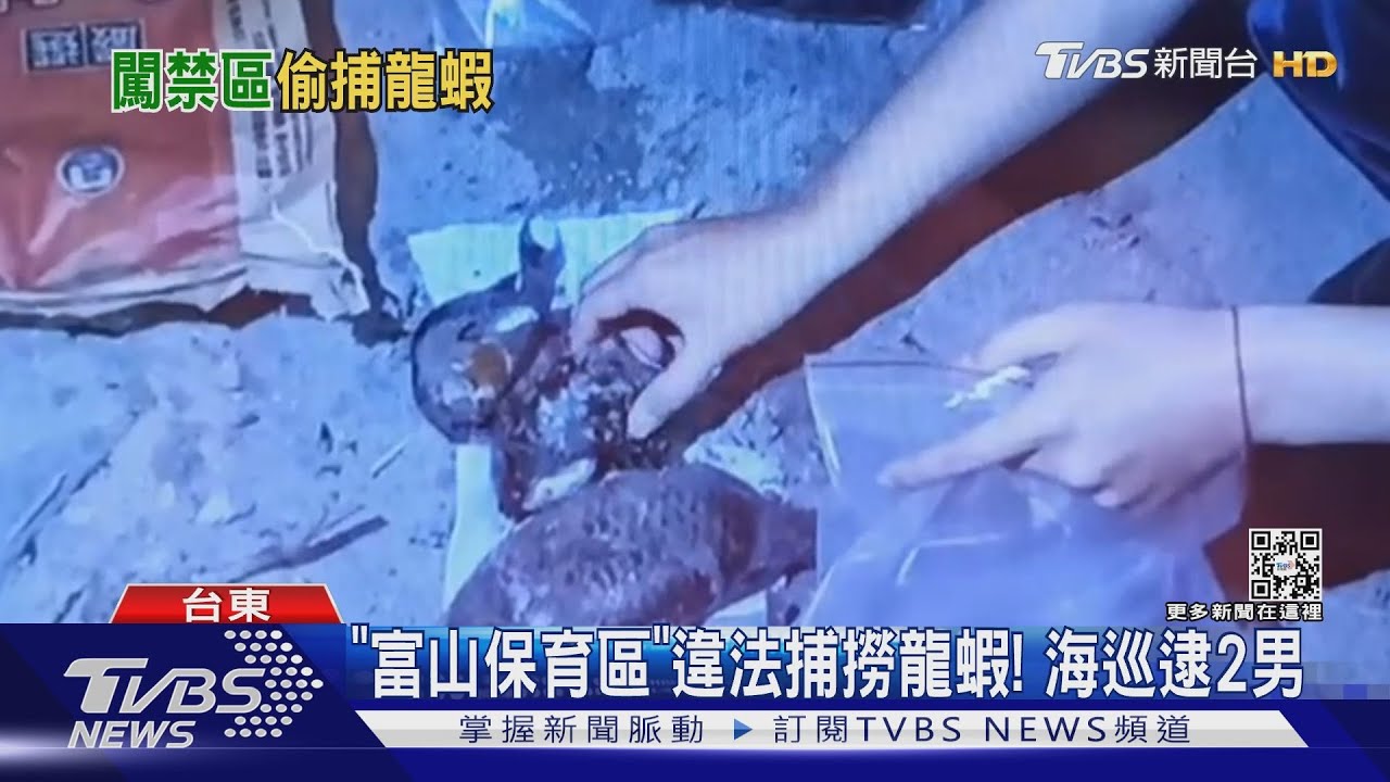 「富山保育區」違法捕撈龍蝦！　海巡逮2男
