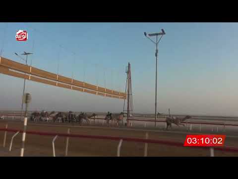  ش 3 (الجارح) لـ محمد بخيت النوبي العامري 7:54:32 ، شارة الديوان 2026/10/25 إيذاع الوقن