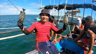 Harvest Time na Para sa mga Alaga Kong Samaral | BillyAillySeaTV