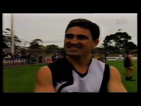 1997 Grand Final Norwood 19.12 126 d Port 7.11 53
